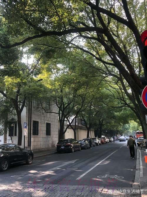 安帅:要减少比赛数量 不知道14-0的比赛是否有意义